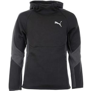 Puma Men's Evostripe Hoodie
