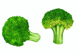 Broccoli