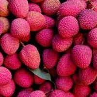 litchi